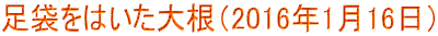 ܂͂卪i2016N116j