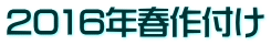 2016Ntt