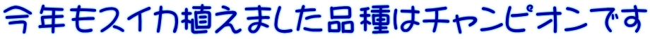 NXCJA܂i̓`sIł