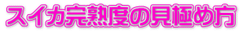 XCJnx̌ɂߕ