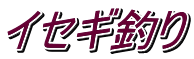 CZMނ